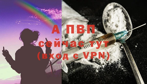 СК Кущёвская